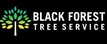 Black Forest Tree Service