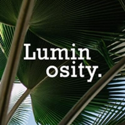Luminosity Studios