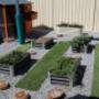 Veggie Patch