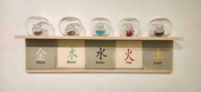 David-Lee-Acupuncture