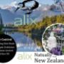Alix Acne Control