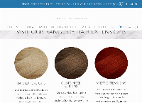 Blakk Hair Extensions's website