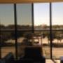 Office Window Tinting