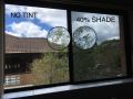 Home & Office Window Tinting