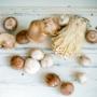yourfoodcollective