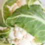 yourfoodcollective