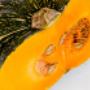 yourfoodcollective