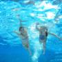 Learn to swim