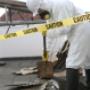 asbestos removal