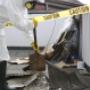Asbestos Contractor