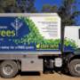 Arborist Brisbane