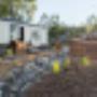 Tree Lopping Brisbane