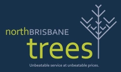 North Brisbane Trees
