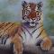 wall-art-of-animal
