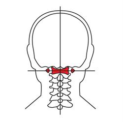Atlas Chiropractic