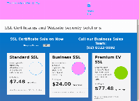 SSLTrust's website