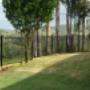 Colorbond Fencing