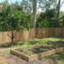 Residential Timber Fencing