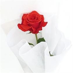 Windsor Funeral Home