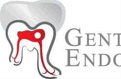 Gentle Endodontics - Dr Mehdi Rahimi