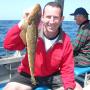 Flathead