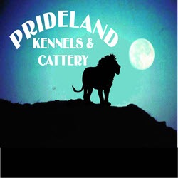 Prideland Kennels & Cattery