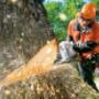 Chainsaw repairs on The Mornington Peninsula