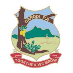Carool Public School