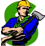 Sapphire Coast Tree Service & Tower Hire