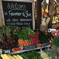 Farmer And Sun