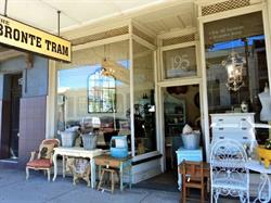 The Bronte Tram