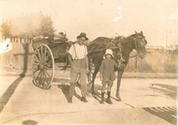 The Melville History Society