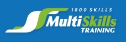 MultiSkills Training