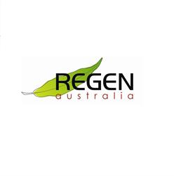 Gecko Regen