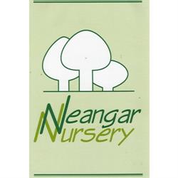 Neangar Nursery
