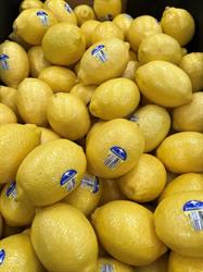 Abbotsleigh Citrus