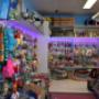 Puppy Pad shop interior