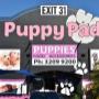 Shop front Puppy Pad