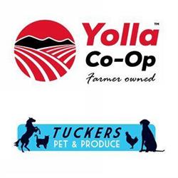 Yolla Co-op