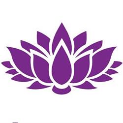 Experience Yoga