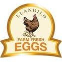 Llandilo Farm Fresh Eggs