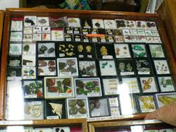 North Brisbane Lapidary Club Inc