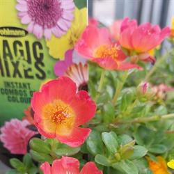 Dalby Gravels, Soils & Garden Centre