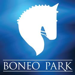 Boneo Park Equestrian