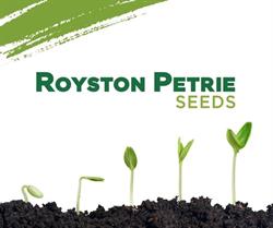 Royston Petrie Seeds