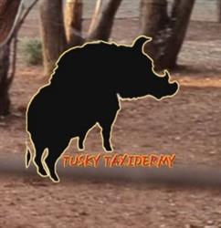 Tusky Taxidermy