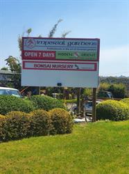 Bonsai Art Pty Ltd
