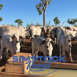 Simstock Rural Agencies 2
