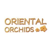 Oriental Orchids