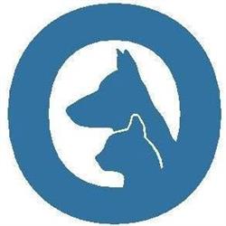 PetO Vet Hospital